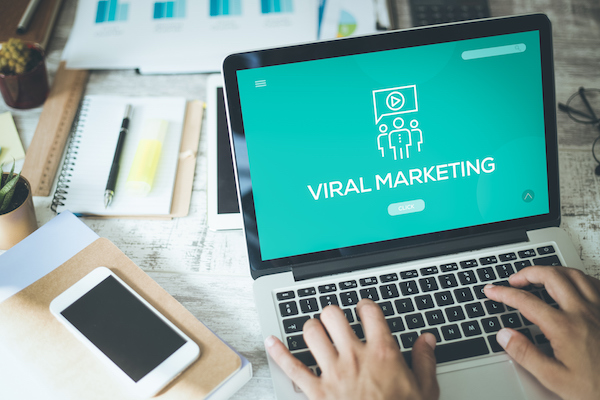 VIRAL PROPERTY MANAGEMENT MARKETING